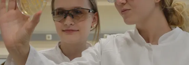 Mikrobiologielabor