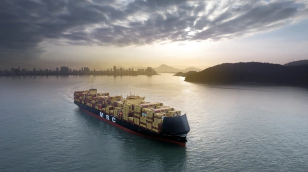 Vessel - MSC Insa.jpg