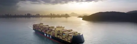 Vessel - MSC Insa.jpg