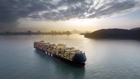 Vessel - MSC Insa.jpg